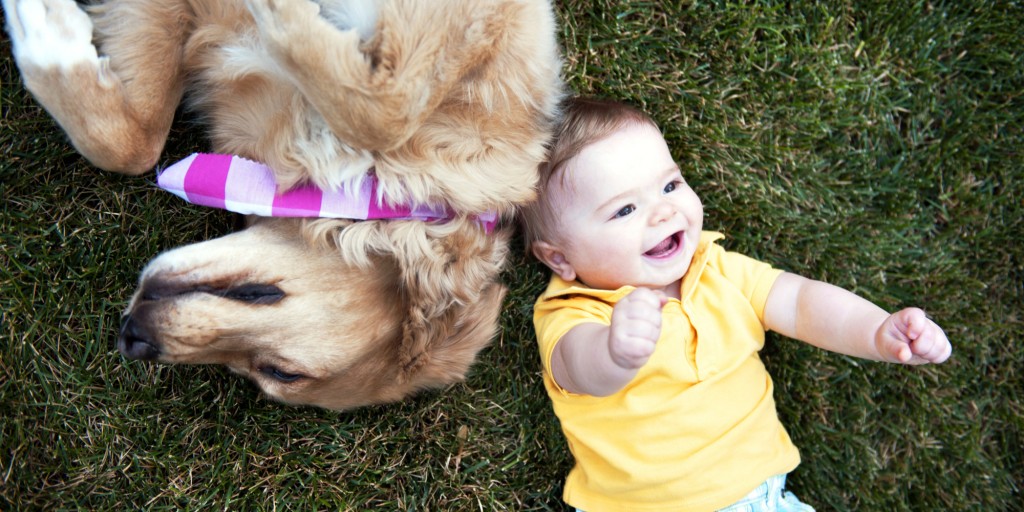 Baby And Dog Laying In Grass Together