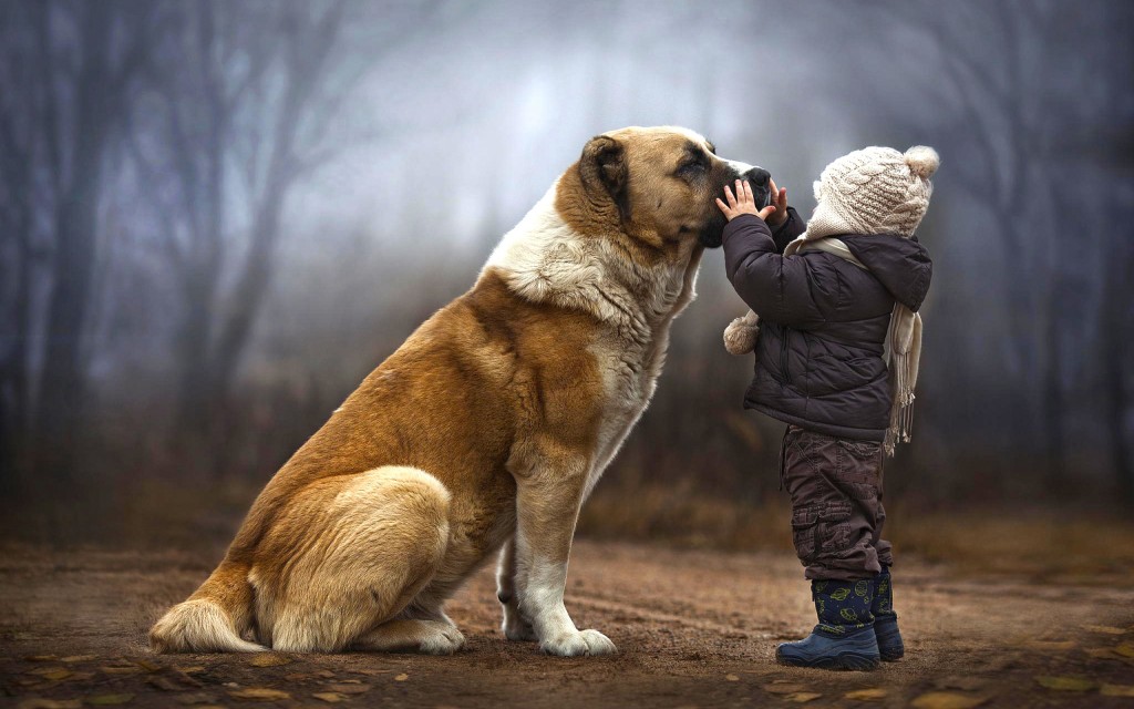 Cute-baby-and-dog-friendship-wallpaper