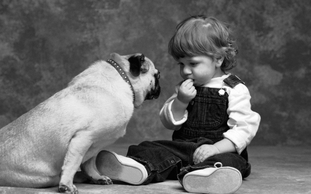 Dog-and-baby-friendship-wallpapers