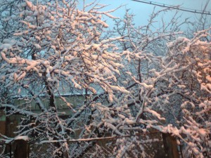 iarna (3)