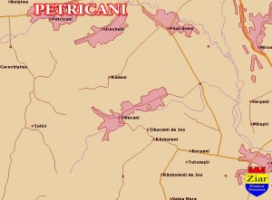 Comuna Petricani 