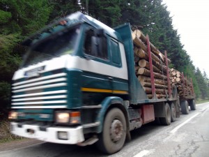 transport-lemne-1