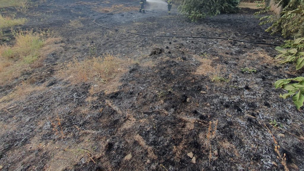 Multiple incendii în Neamț