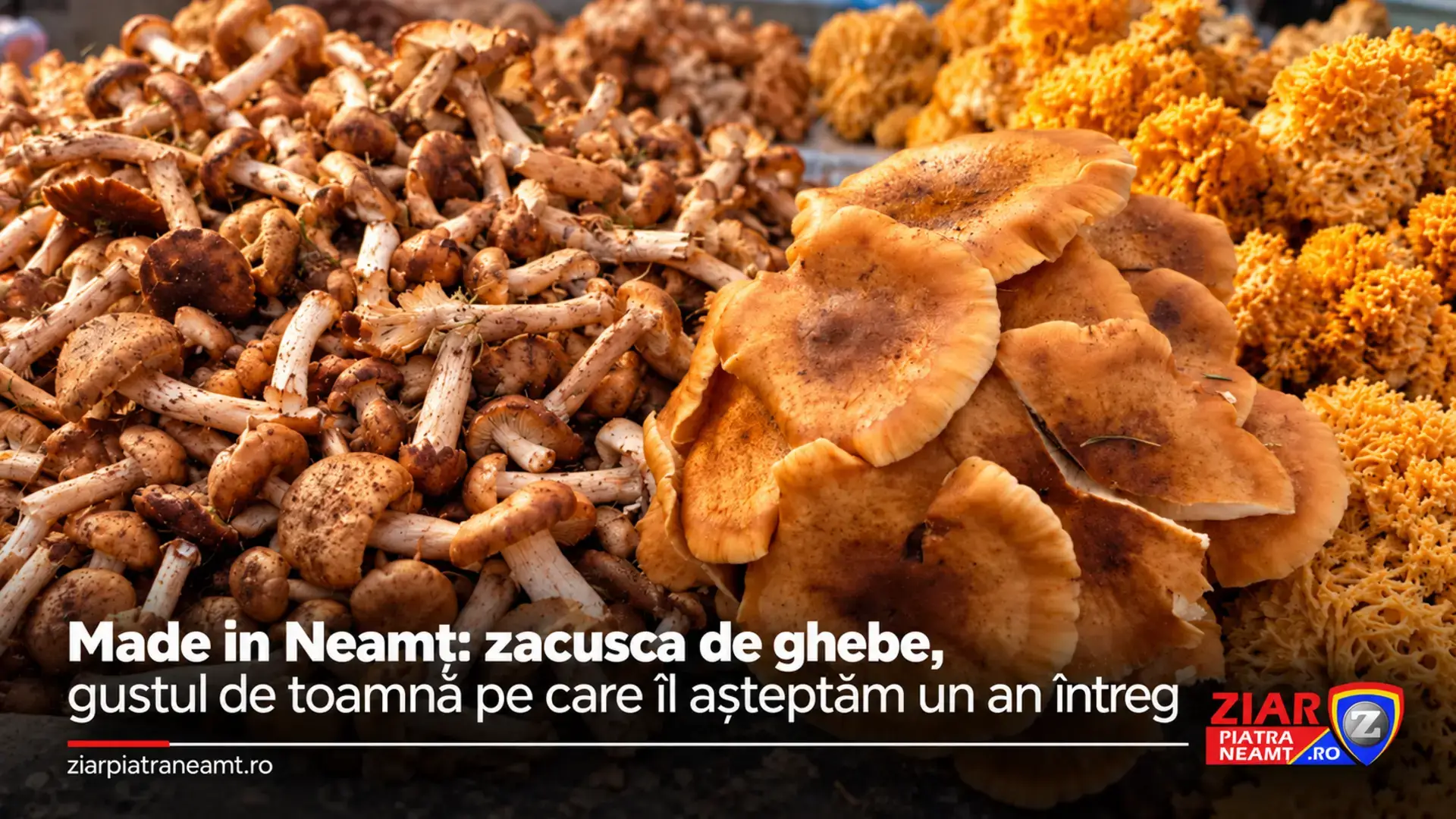 Ghebe și alte ciuperci de toamnă, pe coperta articolului Made in Neamț despre zacusca de ghebe.